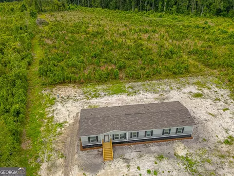 View/Area - 6401 Riverside Rd #TRACT 2, Nahunta, GA 31553 photo 1 of 1