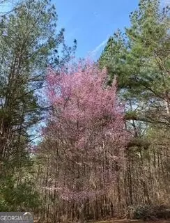 Other - 265 Neely Rd, Lagrange, GA 30240 photo 13 of 15