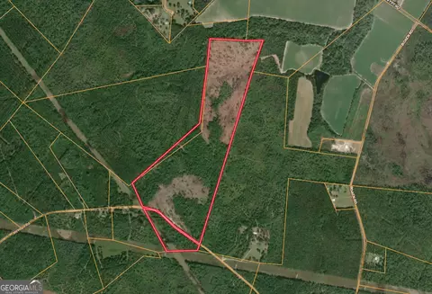 0 Mt Hope Rd, Guyton, GA 31312 photo 6