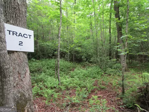 2 New Hope Road, Ellijay, GA 30536