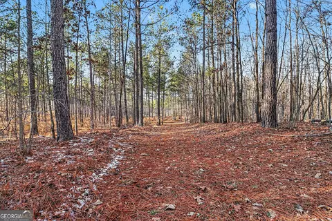 2285 Cherokee Rd, Comer, GA 30629 photo 19