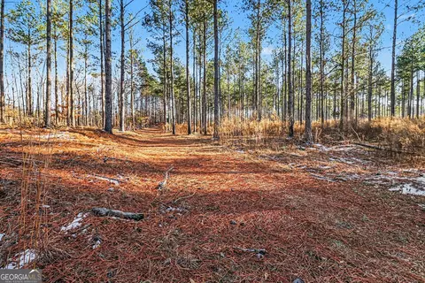 2285 Cherokee Rd, Comer, GA 30629 photo 12