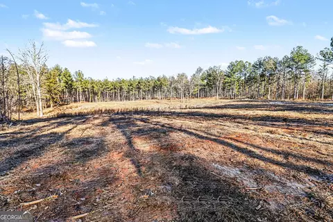 2285 Cherokee Rd, Comer, GA 30629 photo 11