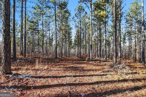 2285 Cherokee Rd, Comer, GA 30629 photo 14