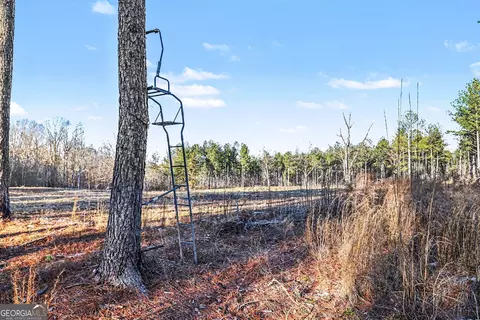 2285 Cherokee Rd, Comer, GA 30629 photo 23
