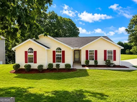 4466 Big Bluff Ct, Douglasville, GA 30135