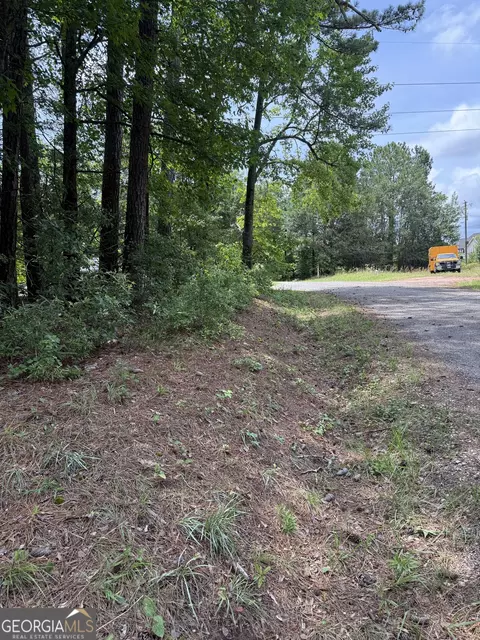 lot Apt 148 Hillview Rd, Hampton, GA 30228 photo 5
