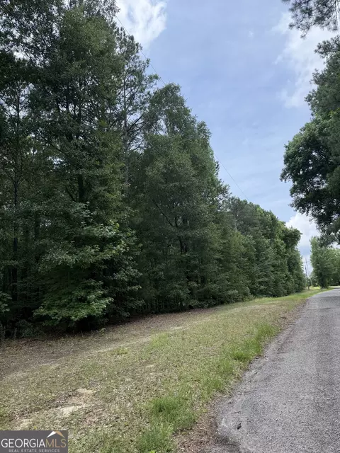 lot Apt 148 Hillview Rd, Hampton, GA 30228 photo 4