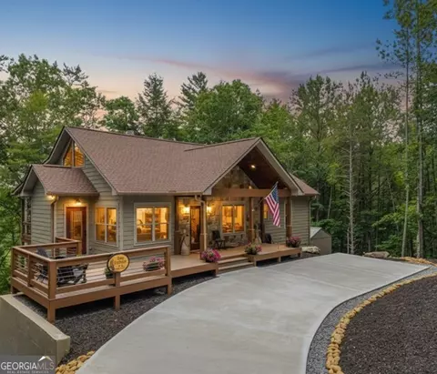 314 Lake View Ln, Ellijay, GA 30536
