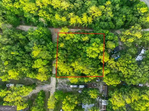 0 River Loop Rd, Baxley, GA 31513 photo 3