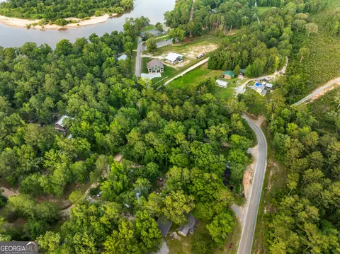 0 River Loop Rd, Baxley, GA 31513 photo 7