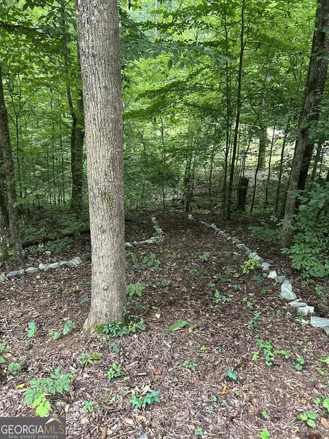 581 Cherokee Rd, Toccoa, GA 30577 photo 11