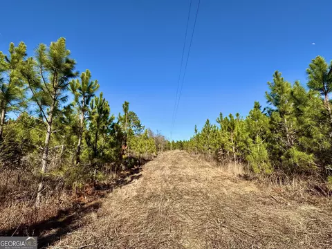 0 Mcdaniel Dr, Dexter, GA 31019 photo 2