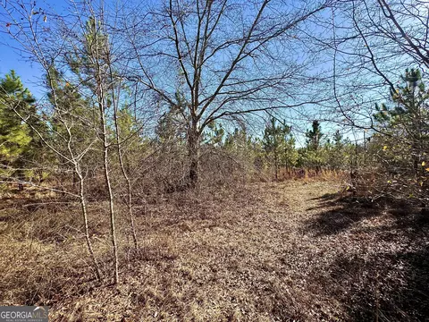 0 Mcdaniel Dr, Dexter, GA 31019 photo 8