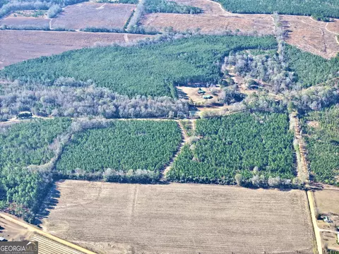 0 Mcdaniel Dr, Dexter, GA 31019 photo 3