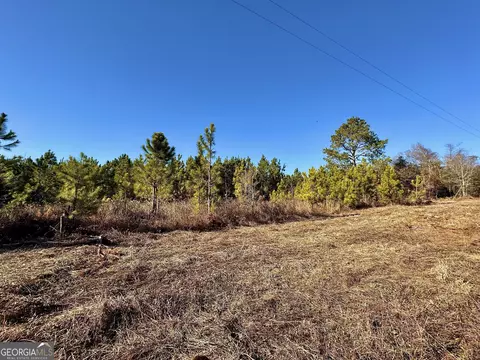 0 Mcdaniel Dr, Dexter, GA 31019 photo 9