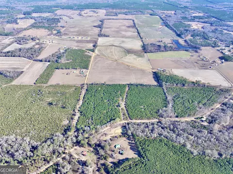 0 Mcdaniel Dr, Dexter, GA 31019 photo 13