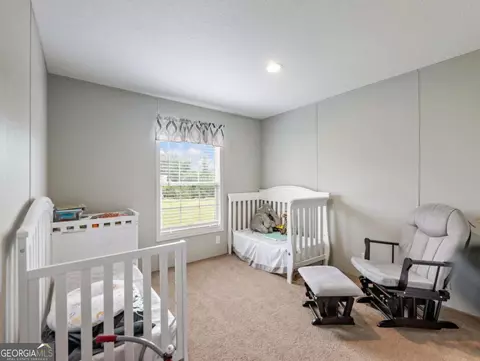 262 Garrison Rd, Carnesville, GA 30521 photo 17