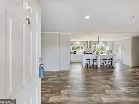 262 Garrison Rd, Carnesville, GA 30521 photo 3