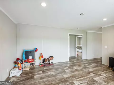 262 Garrison Rd, Carnesville, GA 30521 photo 18