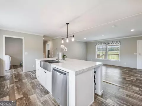 262 Garrison Rd, Carnesville, GA 30521 photo 9