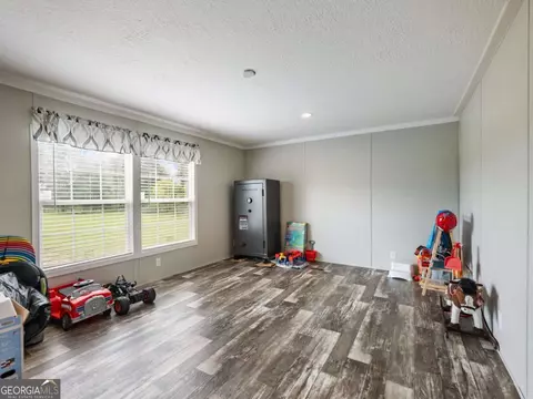 262 Garrison Rd, Carnesville, GA 30521 photo 14