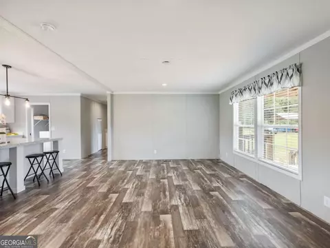 262 Garrison Rd, Carnesville, GA 30521 photo 4
