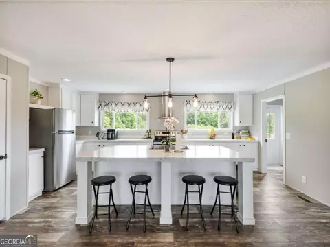 262 Garrison Rd, Carnesville, GA 30521 photo 7