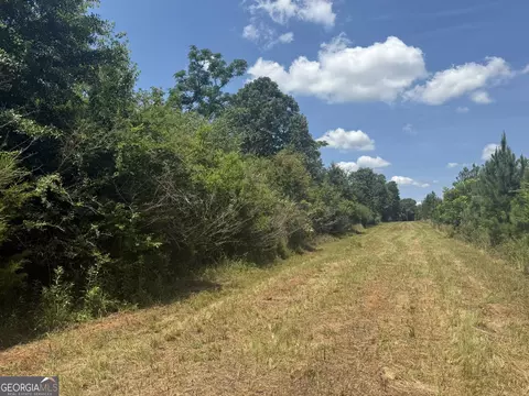 004 Fountain Bridge Rd, Cuthbert, GA 39840 photo 2