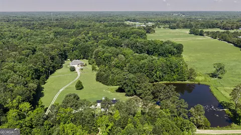 Other - 137 Lynch Rd, Brooks, GA 30205 photo 9 of 11