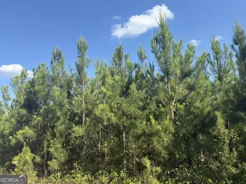 009 George Milling Rd, Cuthbert, GA 39840 photo 10