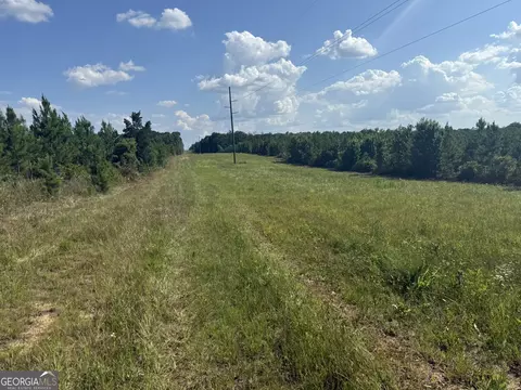 009 George Milling Rd, Cuthbert, GA 39840