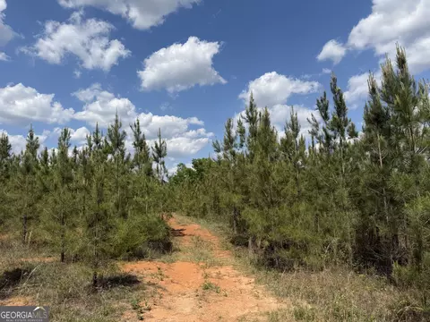 009 George Milling Rd, Cuthbert, GA 39840 photo 3