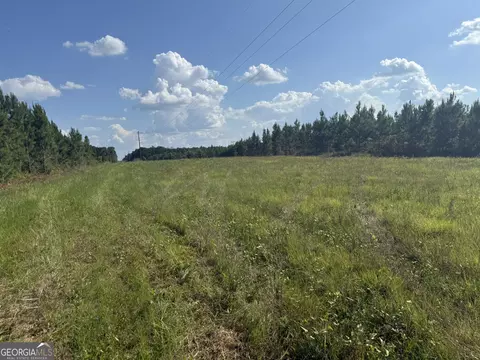 009 George Milling Rd, Cuthbert, GA 39840 photo 5