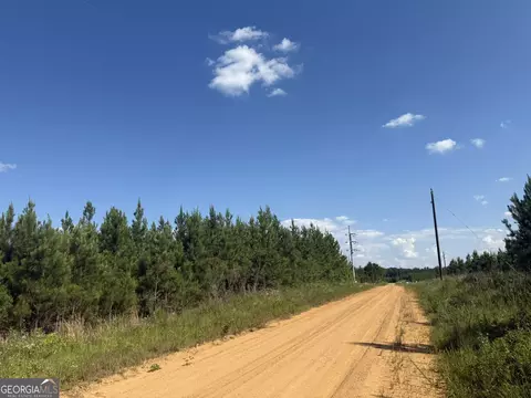 009 George Milling Rd, Cuthbert, GA 39840 photo 9
