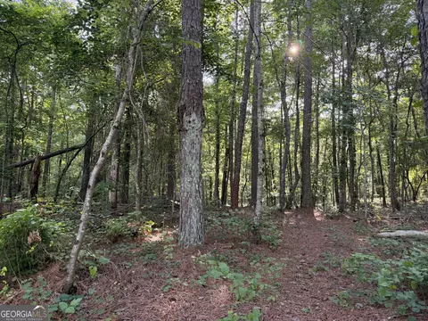 0 Wildcat Rd, Buchanan, GA 30113 photo 5