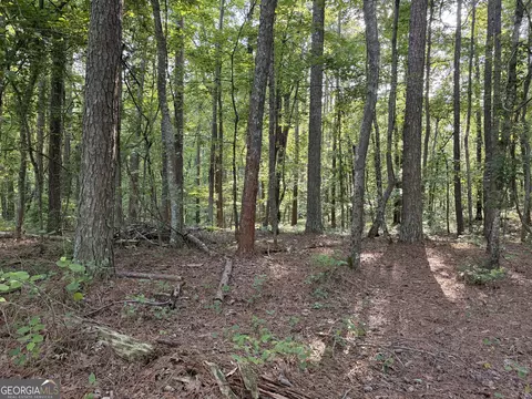 0 Wildcat Rd, Buchanan, GA 30113 photo 2