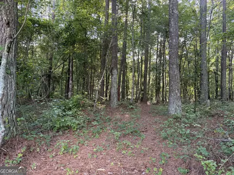 0 Wildcat Rd, Buchanan, GA 30113 photo 4