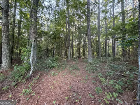 0 Wildcat Rd, Buchanan, GA 30113 photo 3