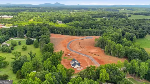 View/Area - 109 Grove Park Dr #THE JEFFERSON PLAN, Cornelia, GA 30531 photo 3 of 6