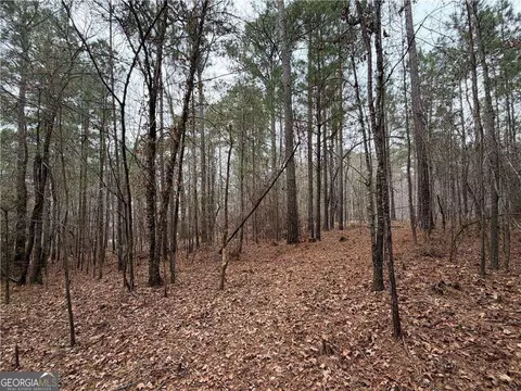 1700 Northwoods Dr, Greensboro, GA 30642