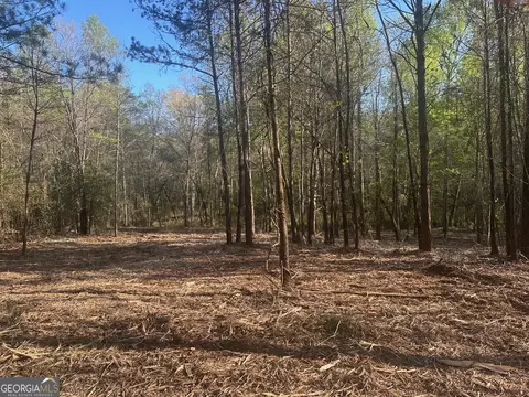 0 Lee Mashburn Rd, Dahlonega, GA 30533
