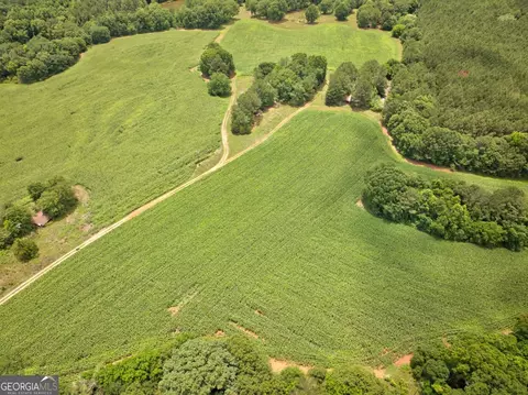 0 Marks Rd, Mansfield, GA 30055 photo 17