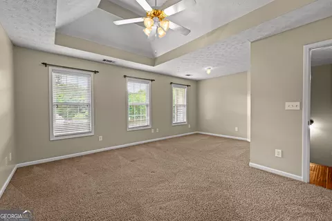 Other - 61 Thorne Berry Dr, Hampton, GA 30228 photo 10 of 14