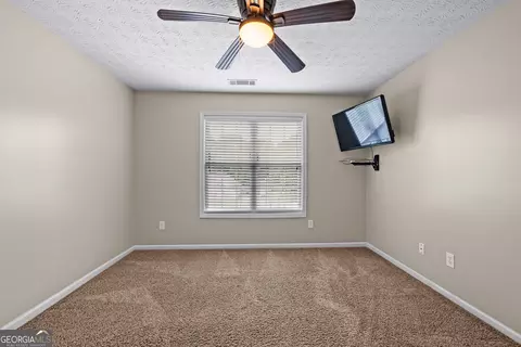 Other - 61 Thorne Berry Dr, Hampton, GA 30228 photo 13 of 14