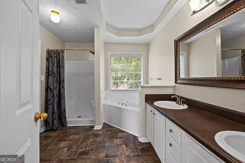 Bath - 61 Thorne Berry Dr, Hampton, GA 30228 photo 1 of 4