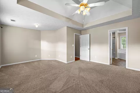 Other - 61 Thorne Berry Dr, Hampton, GA 30228 photo 11 of 14