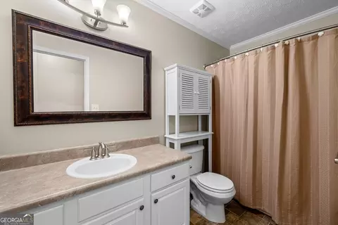 Bath - 61 Thorne Berry Dr, Hampton, GA 30228 photo 4 of 4