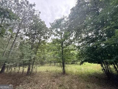 3 Bethesda Church Rd, Lexington, GA 30648