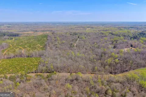 0 Rolling Rock Rd, Carnesville, GA 30521 photo 2